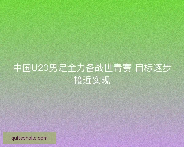 中国U20男足全力备战世青赛 目标逐步接近实现 中国U20男足全力备战世青赛 目标逐步接近实现